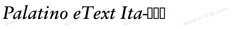 Palatino eText Ita字体转换 Palatino eText Ita字体转换